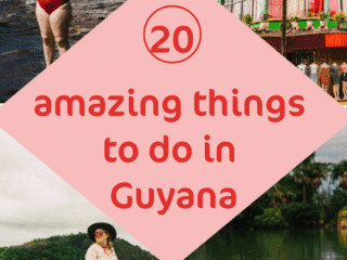 Whimsy Soul Guyana pin 2