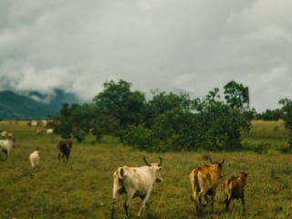 Whimsy Soul - Media Trip Guyana-132