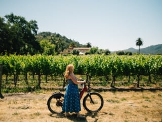 Whimsy Soul - Yountville Napa Valley-125