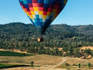 Whimsy Soul - Yountville Napa Valley-148