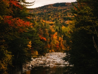 Whimsy Soul - New England Fall Road trip-102