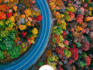 Whimsy Soul - new england fall road trip pin 2