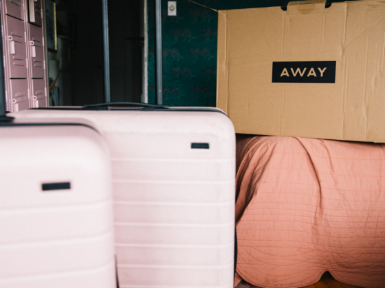 Whimsy Soul - Away Travel luggage review-101