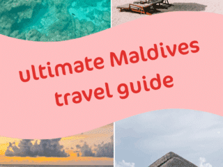 Whimsy Soul - Maldives Pin 101