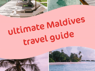 Whimsy Soul - Maldives Pin 103