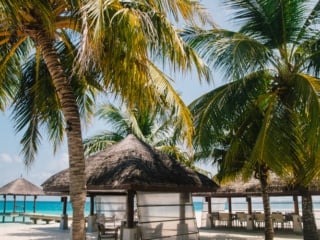 Whimsy Soul - Maldives travel guide-136