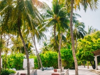 Whimsy Soul - Maldives travel guide-137