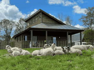 Whimsy Soul - New England Airbnb 103