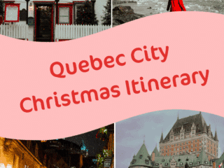 Whimsy Soul - Quebec City Christmas Pin 101