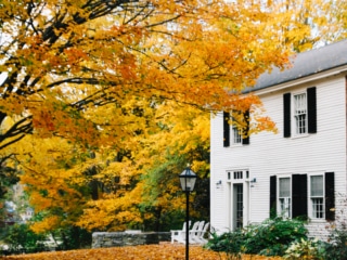 Whimsy Soul - Woodstock Vermont Guide-201