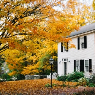 Whimsy Soul - Woodstock Vermont Guide-201