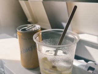 Whimsy Soul - qatar airlines review-104