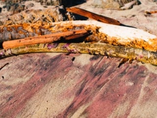 Whimsy Soul - big sur things to do-103