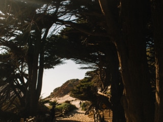 Whimsy Soul - big sur things to do-107