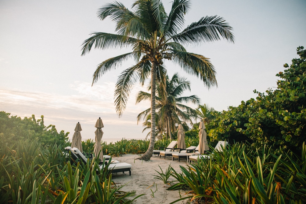 Whimsy Soul - UNICO 2087 Hotel Riviera Maya-115 Whimsy Soul - UNICO 2087 Hotel Riviera Maya-115