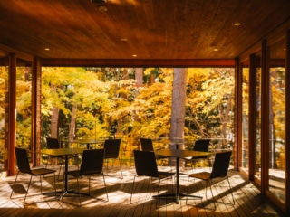 Whimsy Soul - Japan Trip fuji-115