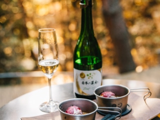 Whimsy Soul - Japan Trip fuji-148