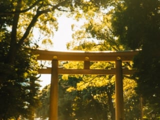 Whimsy Soul - Japan Trip tokyo-114