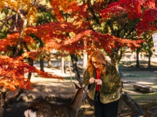 Whimsy Soul - Nara Deer Park Japan-102