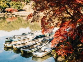 Whimsy Soul - Nara Deer Park Japan-115