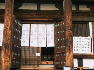 Whimsy Soul - Nara Deer Park Japan-117