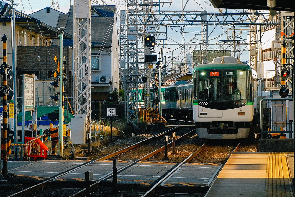 Whimsy Soul - Nara Deer Park Japan-120 Whimsy Soul - Nara Deer Park Japan-120