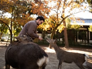 Whimsy Soul - Nara Deer Park Japan-121