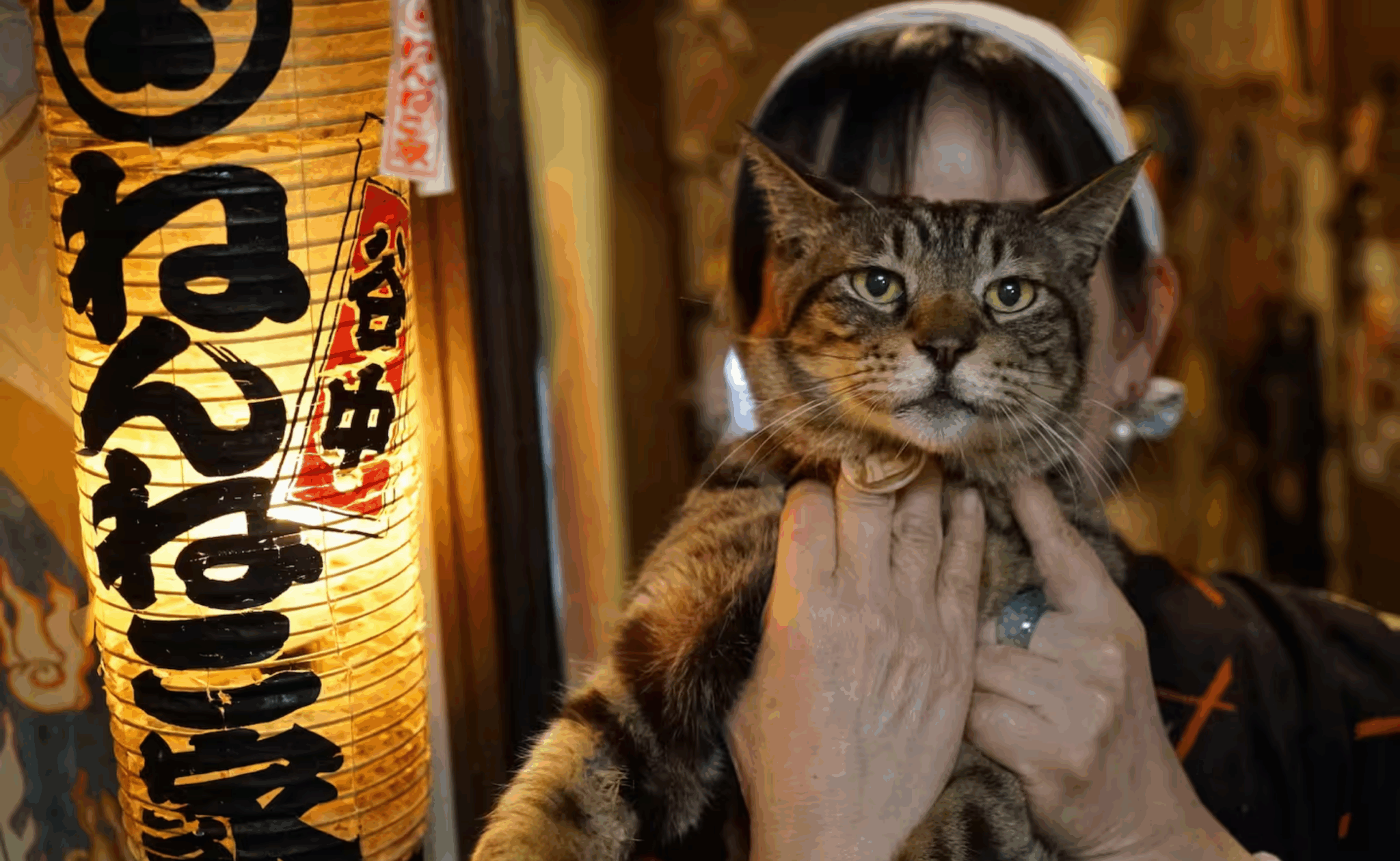 Whimsy Soul - Tokyo Airbns 108 Whimsy Soul - Tokyo Airbns 108