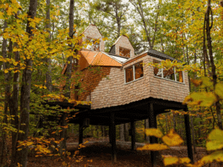 Whimsy Soul - coolest Airbnbs US 115