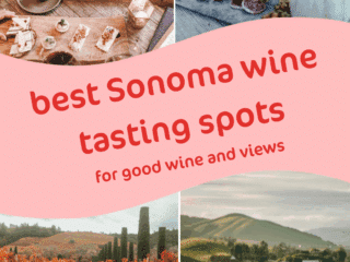 Whimsy Soul - sonoma wine tasting pin 101