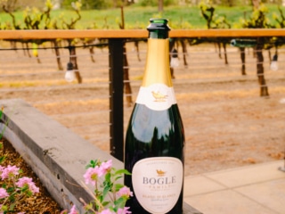 Whimsy Soul - Sacramento CA fuji-302