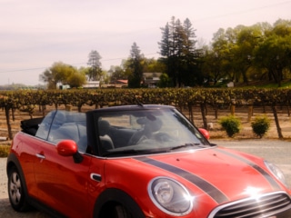 Whimsy Soul - Sacramento CA fuji-304