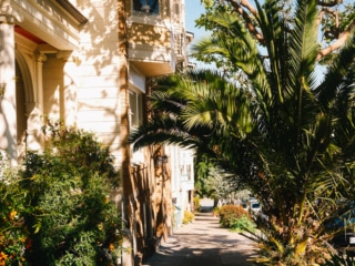 Whimsy Soul - San Francisco Fuji-109