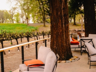 Whimsy Soul - San Francisco Fuji-118