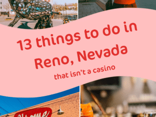 Whimsy Soul - reno nv pin 102