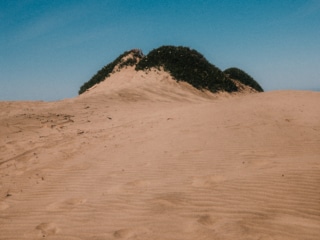 Whimsy Soul - san francisco fuji film-232