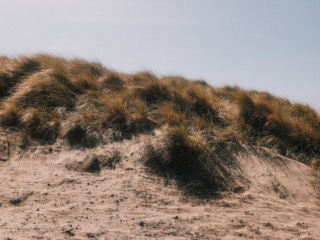 Whimsy Soul - san francisco fuji film-233