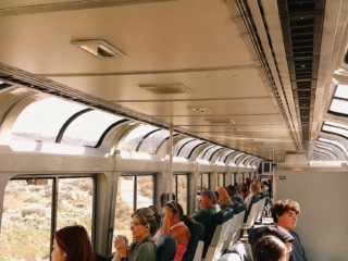 Whimsy Soul - Camp Snap camera-112