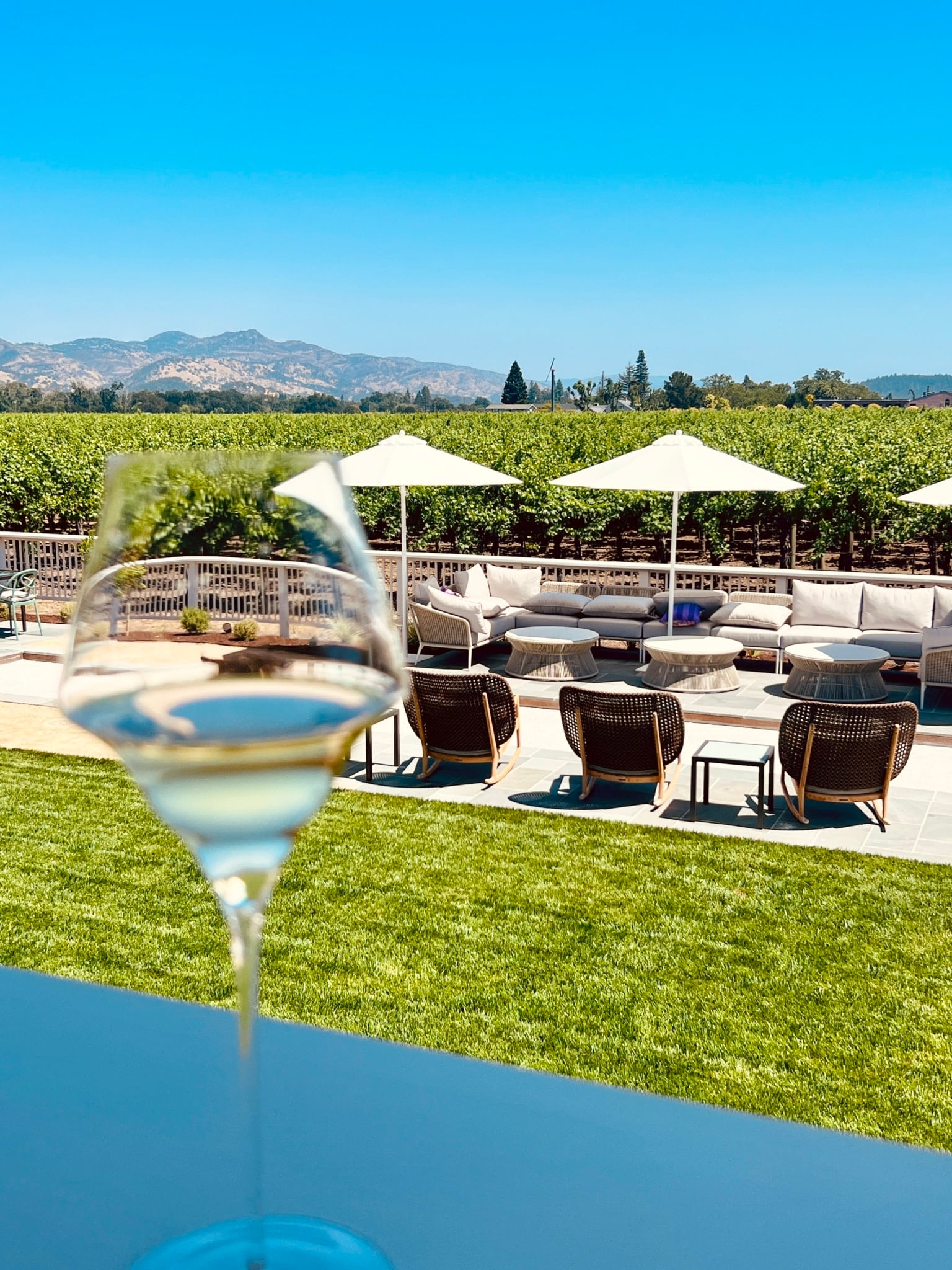 Whimsy Soul - yountville napa valley winery-154